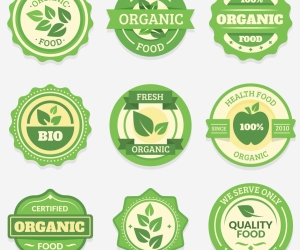 Vì Sao Nhãn PVC Là Lựa Chọn Tối Ưu Cho Các Sản Phẩm Công Nghiệp Tại Bình Dương?